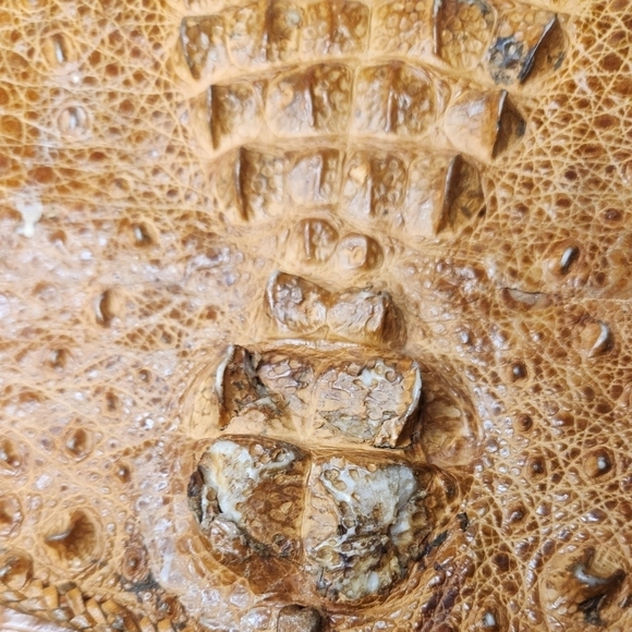 Vintage Crocodile Leather Purse - Picture 10 of 14